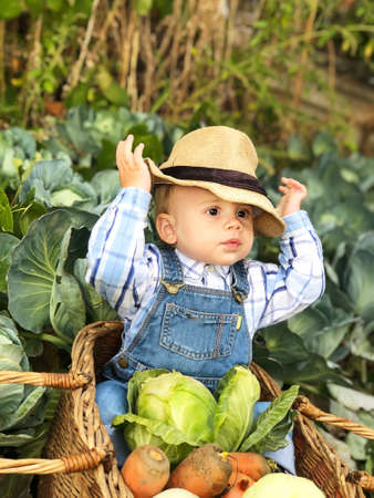 The child is a little farmer. Farm assistant.の写真素材