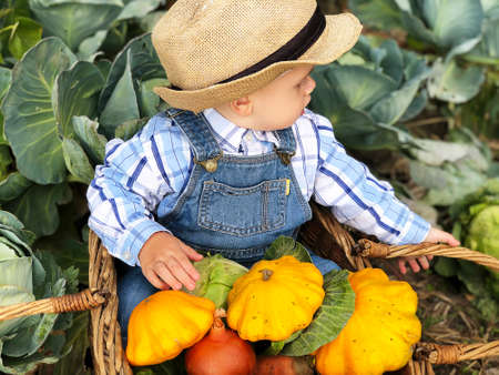 The child is a little farmer. Farm assistant.の写真素材