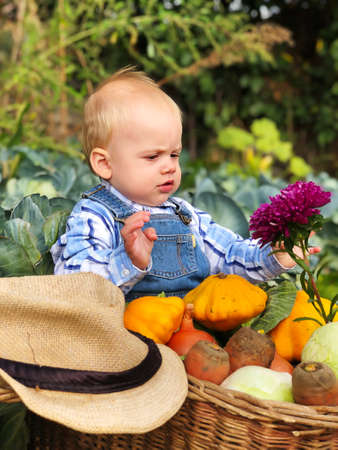 The child is a little farmer. Farm assistant.の写真素材