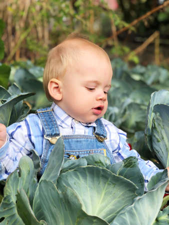 The child is a little farmer. Farm assistant.の写真素材