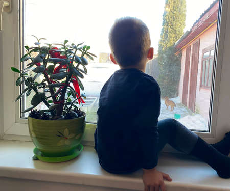 the child looks out the window and waits for parents from work. Selective focus.の写真素材