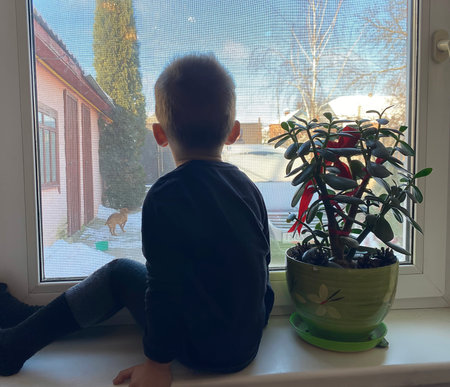 the child looks out the window and waits for parents from work. Selective focus.の写真素材