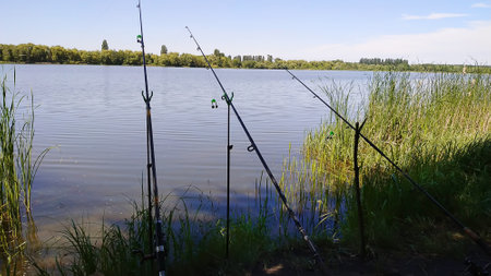 Fishing tackle. rest nature, fish, hooks, spinning. Selective focusの写真素材