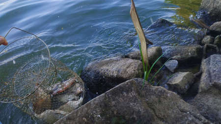 Fishing tackle. rest nature, fish, hooks, spinning. Selective focusの写真素材