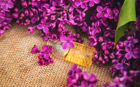 Lilac essential oil in a small bottle. Selective focus. Nature.の写真素材