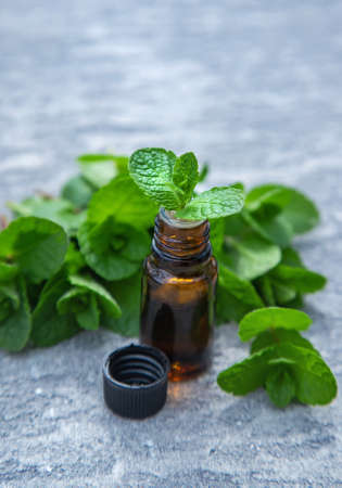 Peppermint essential oil in a small bottle. Selective focus. Nature.の写真素材