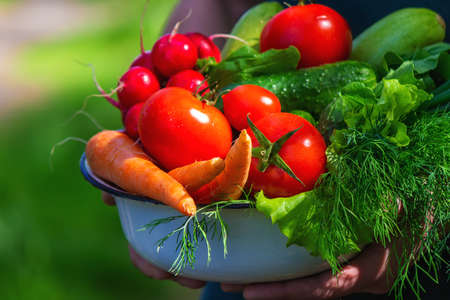 farmer in blue clothes holds ripe vegetables in his hands. Carrots, pink radishes, zucchini, cucumber, onions. No plastic, no waste, ecology Selective focusの写真素材