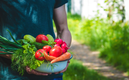 farmer in blue clothes holds ripe vegetables in his hands. Carrots, pink radishes, zucchini,...