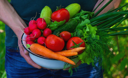 farmer in blue clothes holds ripe vegetables in his hands. Carrots, pink radishes, zucchini, cucumber, onions. No plastic, no waste, ecology Selective focusの写真素材
