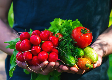 farmer in blue clothes holds ripe vegetables in his hands. Carrots, pink radishes, zucchini, cucumber, onions. No plastic, no waste, ecology Selective focusの写真素材