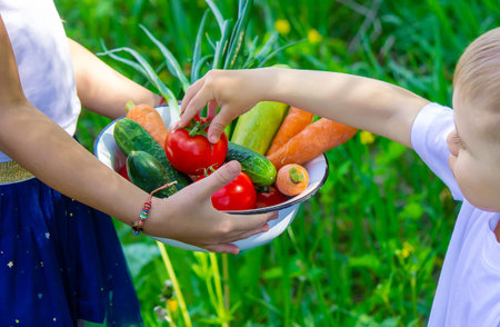 Children in the garden with vegetables in their hands. Selective focus. nature.の写真素材