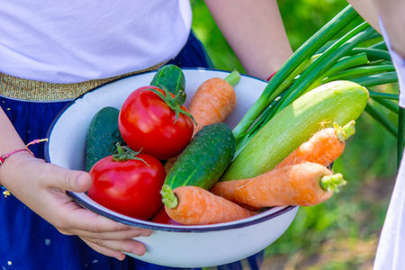 Children in the garden with vegetables in their hands. Selective focus. nature.の写真素材