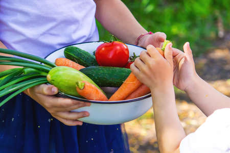 Children in the garden with vegetables in their hands. Selective focus. nature.の写真素材