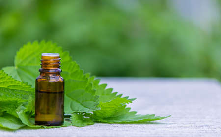 tincture of nettle in a bottle and fresh leaves isolated with shadows on a light background, medicinal herb for overweight, diabetes and renal weakness, selected focus, shallow depth of fieldの写真素材
