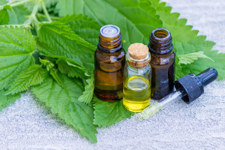 tincture of nettle in a bottle and fresh leaves isolated with shadows on a light background,...