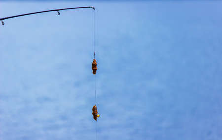 fishing on the river a man puts a bait for catching fish, selective focus. Natureの写真素材