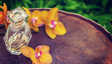 bottles with essential oils and orchid in Minsk on a wooden background. Natural perfume. Selective...