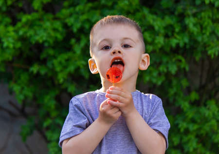 Photo of a boy with a lollipop on a green background. Nature. Selective focusの写真素材