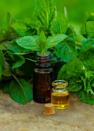 bottle of essential oil Peppermint with fresh mint leaves, herbal scent in a dark glass jar. On the stump. Aromatherapy concept. Selective focusの写真素材
