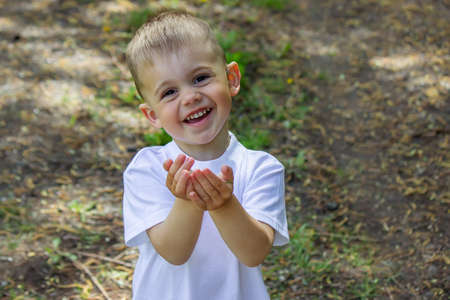 green leaf in the hands of a reyenka. Nature. Selective focus.の写真素材