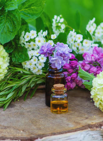 essential oils and medicinal flowers, herbs. Nature. Selective focusの写真素材