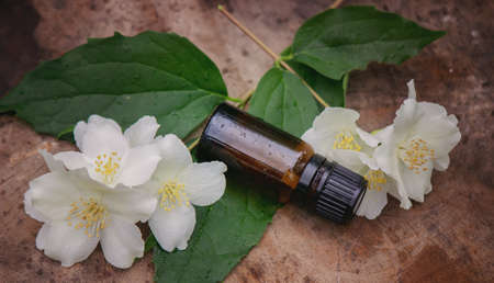 Essential oil and jasmine flowers on a wooden background. Cosmetic procedures. Selective focusの写真素材