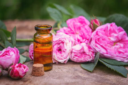 Close-up of rose essential oil bottle with falling leaves on wooden background. Selective focusの写真素材
