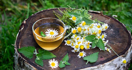Healthy chamomile tea on a wooden background. Nature. Selective focusの写真素材