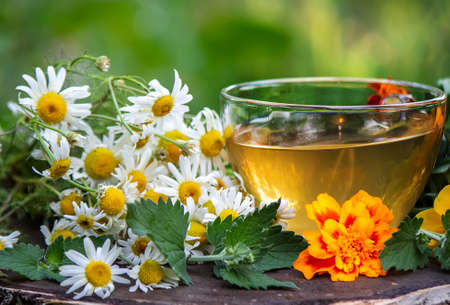 Chamomile tea on a wooden background. Nature. Selective focusの写真素材