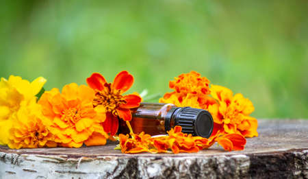 essential oils and medicinal flower herbs. Selective focusの写真素材