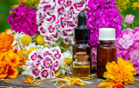 essential oils and medicinal flower herbs. Selective focusの写真素材