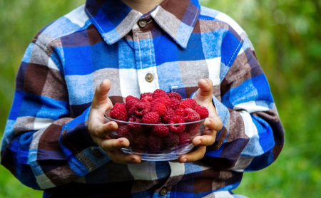 child holds a bowl with ripe raspberries organic product on the farm. Selective focus
