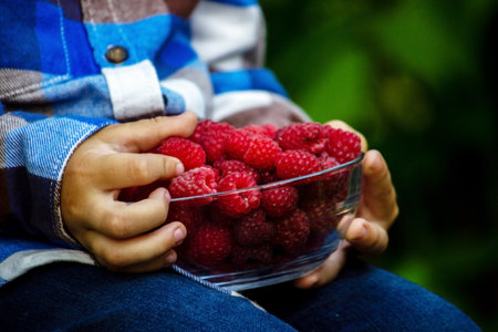 child holds a bowl with ripe raspberries organic product on the farm. Selective focusの写真素材