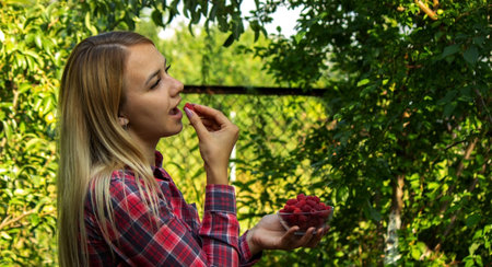 girl holding a bowl with organic product of ripe raspberries on the farm. Selective focusの写真素材