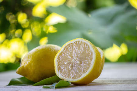 A bottle of lemon essential oil is an alternative medicine. Selective focusの写真素材