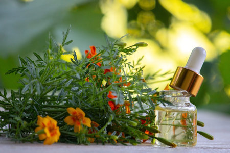 marigold oil essential oils, nature. Selective focus