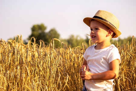 Child in a wheat field hugging a grain harvest. Farm. Nature, Selective focusの写真素材