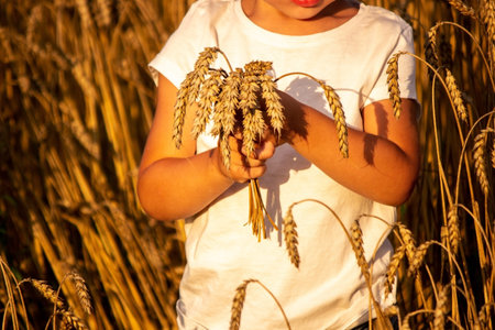 Child in a wheat field hugging a grain harvest. Farm. Nature, Selective focusの写真素材