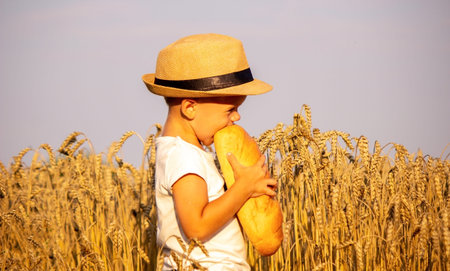 child eating a loaf in a wheat field. Nature. Selective focus
