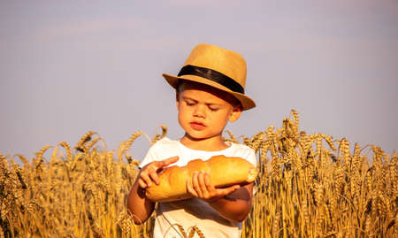 child eating a loaf in a wheat field. Nature. Selective focusの写真素材