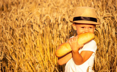 child eating a loaf in a wheat field. Nature. Selective focusの写真素材