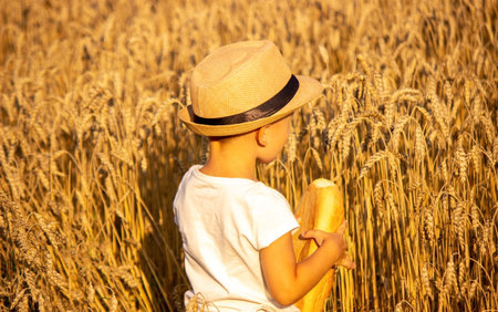 child eating a loaf in a wheat field. Nature. Selective focusの写真素材