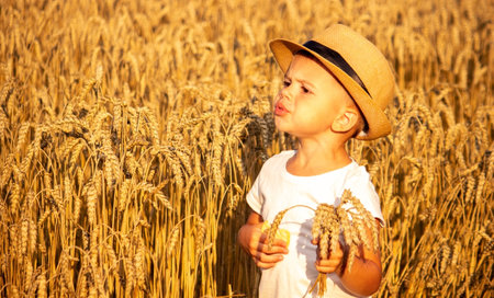children in a wheat field eats cookies. Nature. Selective focusの写真素材