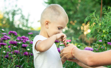child eats honey in the garden. Selective focusの写真素材