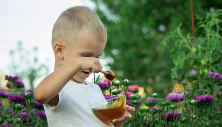 child eats honey in the garden. Selective focusの写真素材
