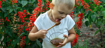 child eats honey in the garden. Selective focusの写真素材