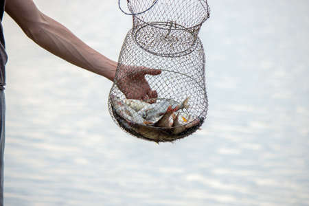 Fishing rod wheel closeup, man fishing with a beautiful sunrise behind himの写真素材