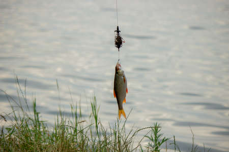 Fishing rod wheel closeup, man fishing with a beautiful sunrise behind himの写真素材
