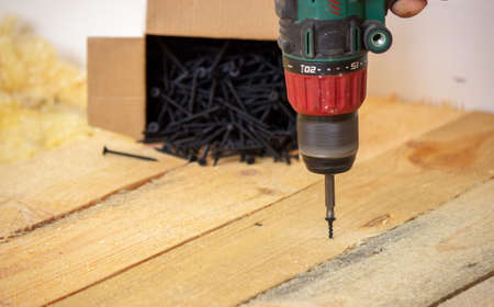 the man twists the screws into the board. Repair of the floor in the house. Selective focus. Interの写真素材