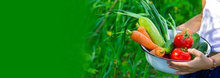 Children in the garden with vegetables in their hands. Selective focus. nature.